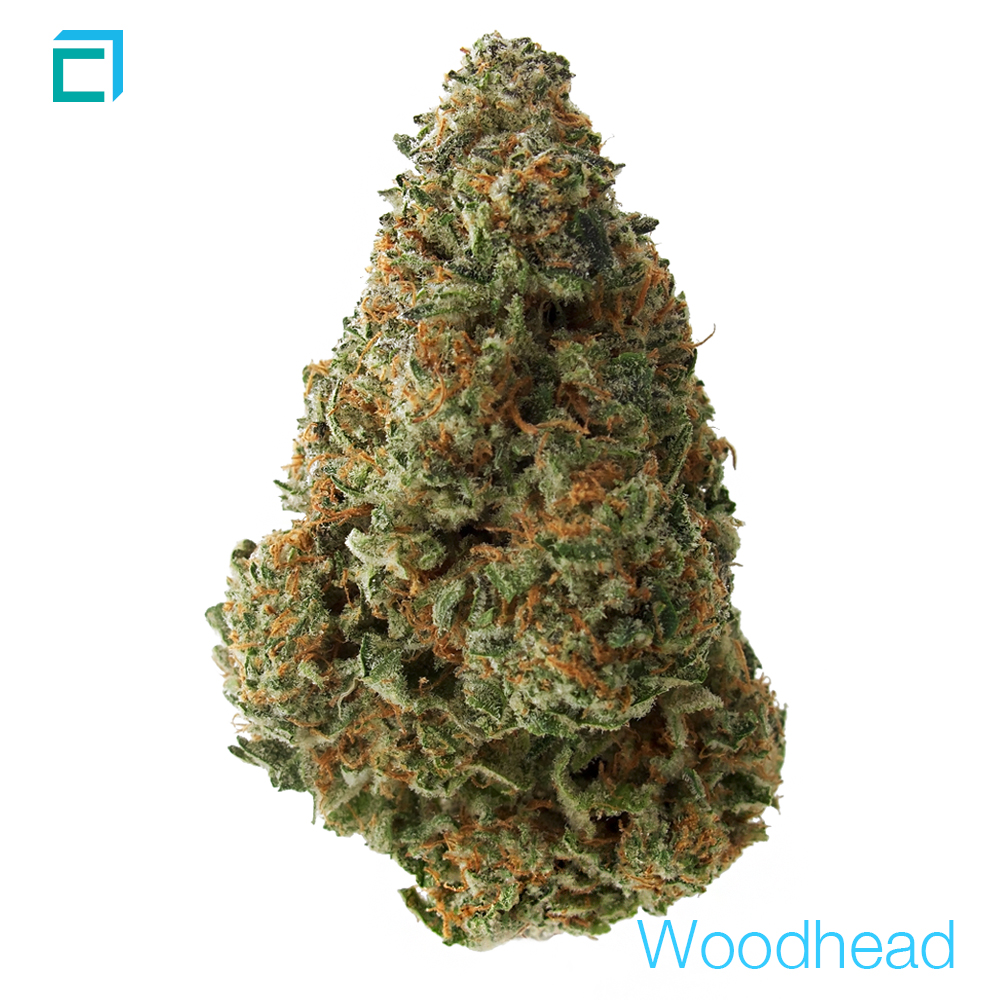 5312 woodhead 0