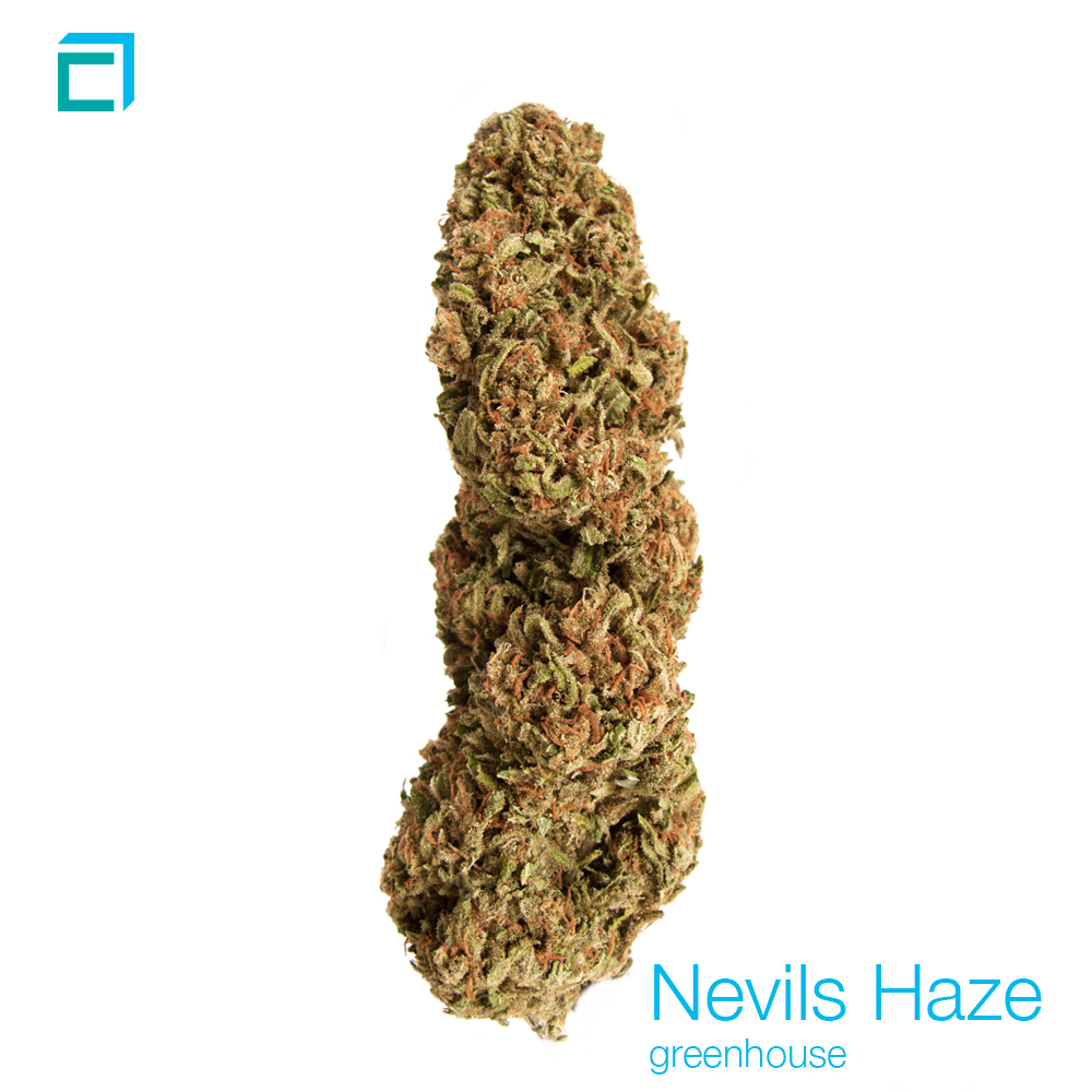 22059 nevil gh