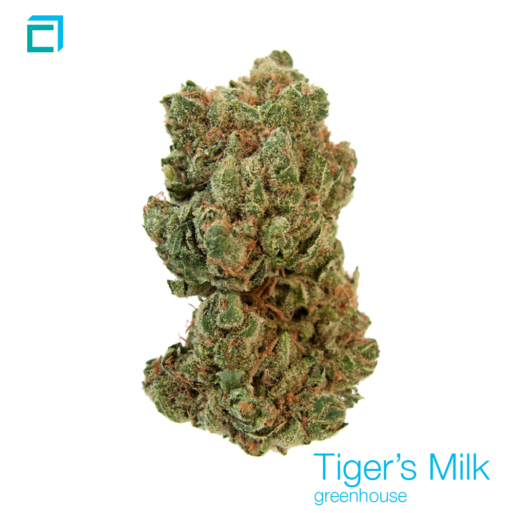 22411 tigersmilk