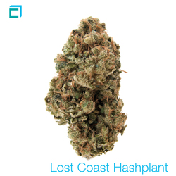 Thumb lostcoast hashplant