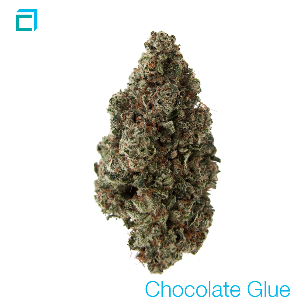 Chocolate glue