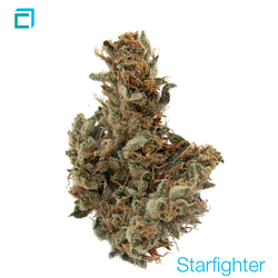 Thumb starfighter