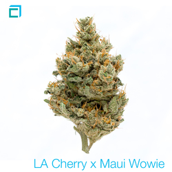 Thumb la cherry x maui wowie