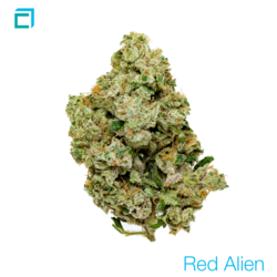 Thumb red alien