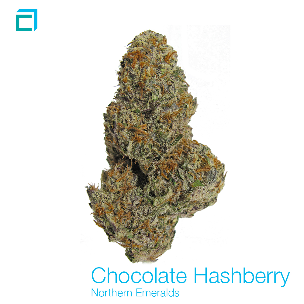 Chocolatehashberry